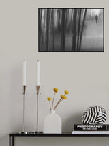 n/t Poster och Canvastavla