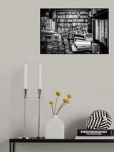The lady and her shelfs Poster och Canvastavla