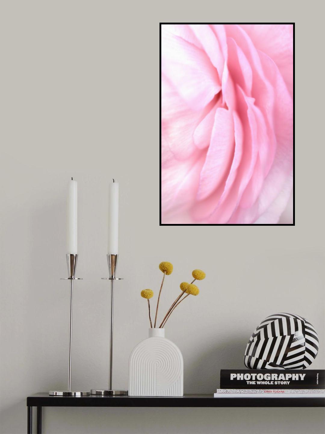 Soft pink petals Poster och Canvastavla