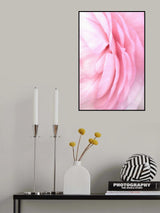 Soft pink petals Poster och Canvastavla