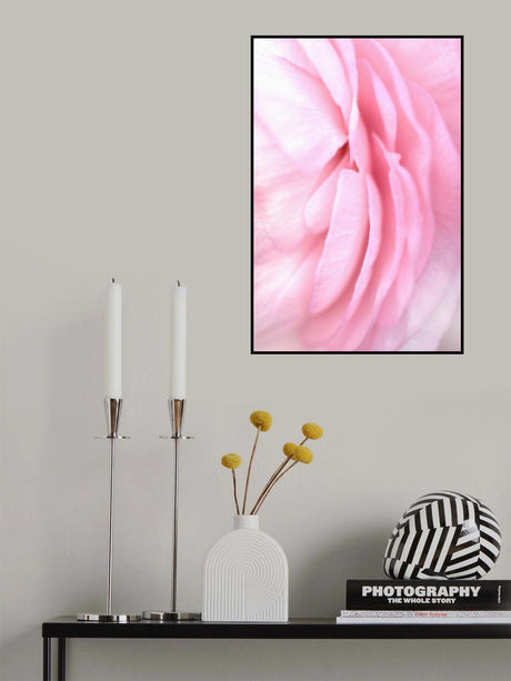 Soft pink petals Poster och Canvastavla