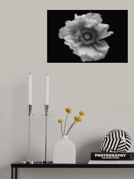 Poppy in mono Poster och Canvastavla