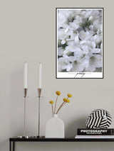 Distressed freesias III Poster och Canvastavla