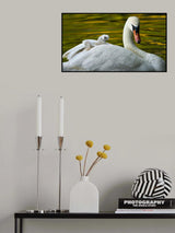 Happy Ride Poster och Canvastavla