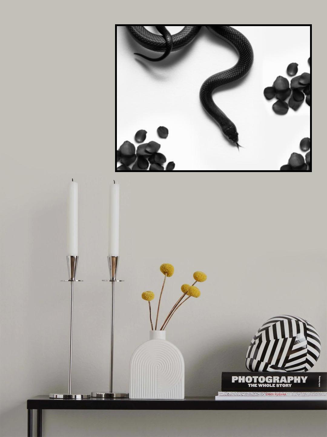 Black Snake Roam Poster och Canvastavla