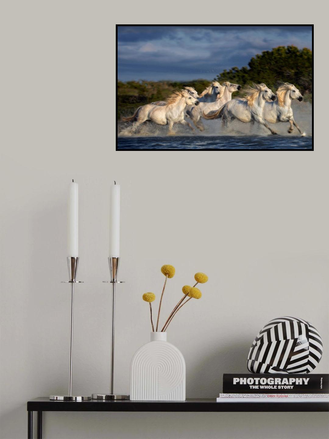 Horses running through the marsh Poster och Canvastavla