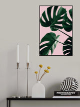 Monstera Pink No 08 Poster och Canvastavla