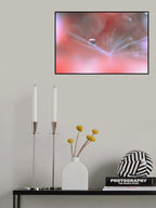 Alliance Of Light...II Poster och Canvastavla