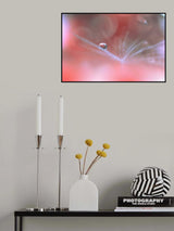 Alliance Of Light...II Poster och Canvastavla