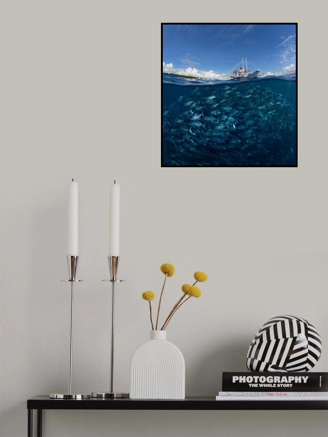 Go diving? Poster och Canvastavla
