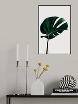 Monstera Natural 02 Poster och Canvastavla