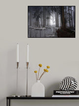 Misty forest (Winter) Poster och Canvastavla