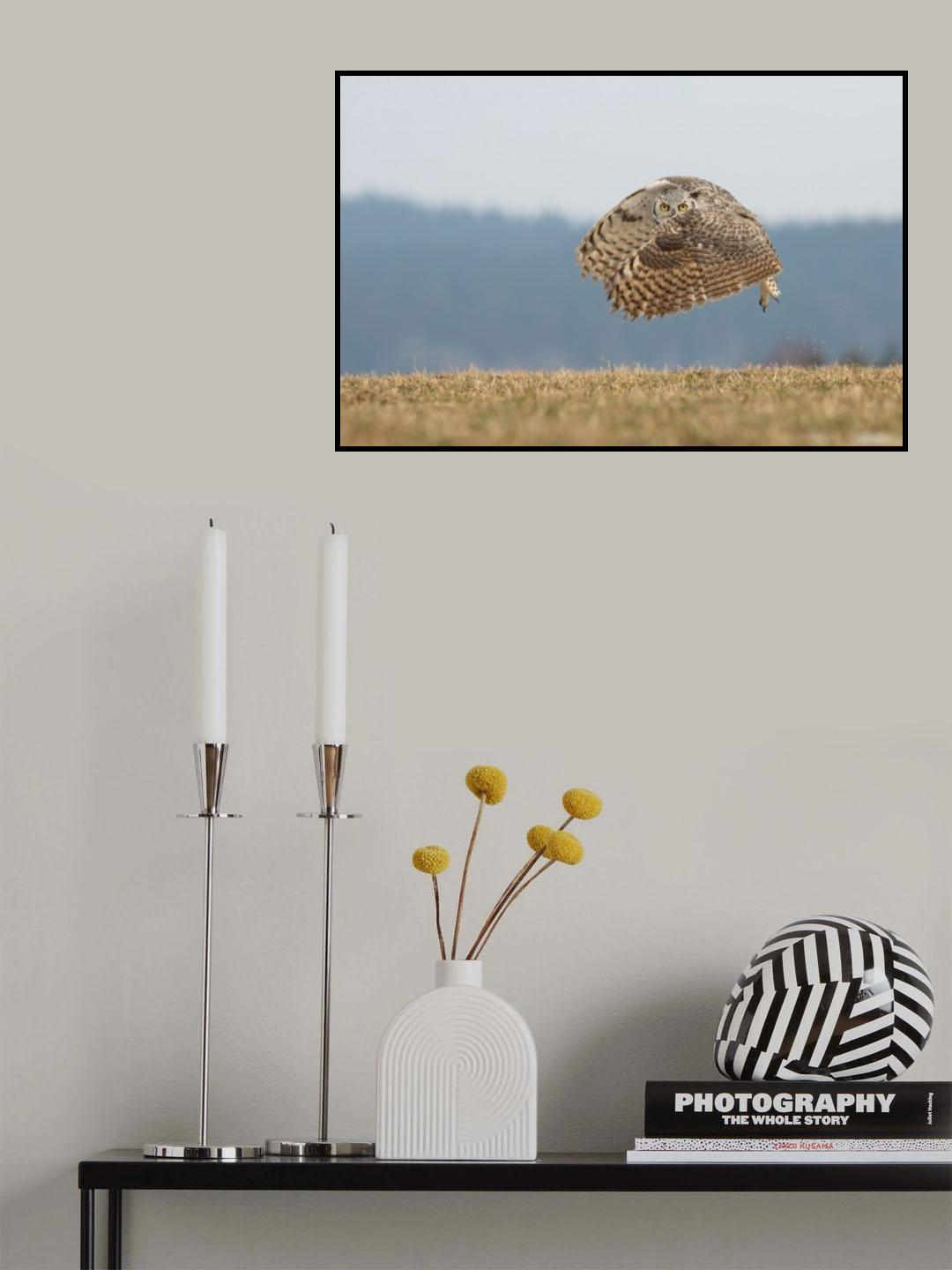Great horned owl Poster och Canvastavla