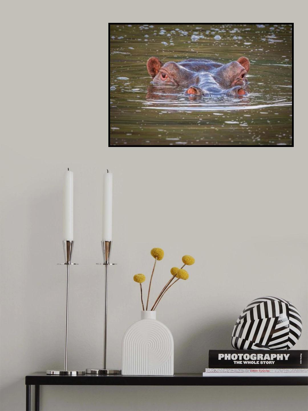 River horse Poster och Canvastavla