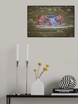 River horse Poster och Canvastavla