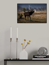 Morning calling Poster och Canvastavla