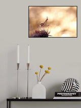 Walking on thorns... Poster och Canvastavla