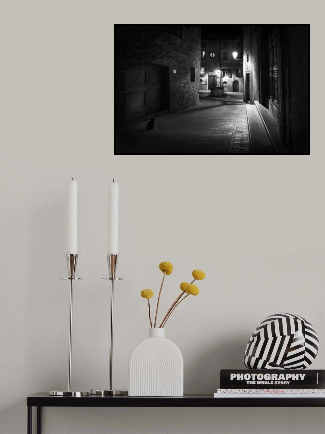 Curious cat Poster och Canvastavla