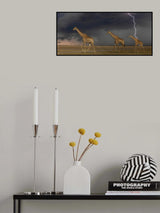 3 in the afternoon storm Poster och Canvastavla