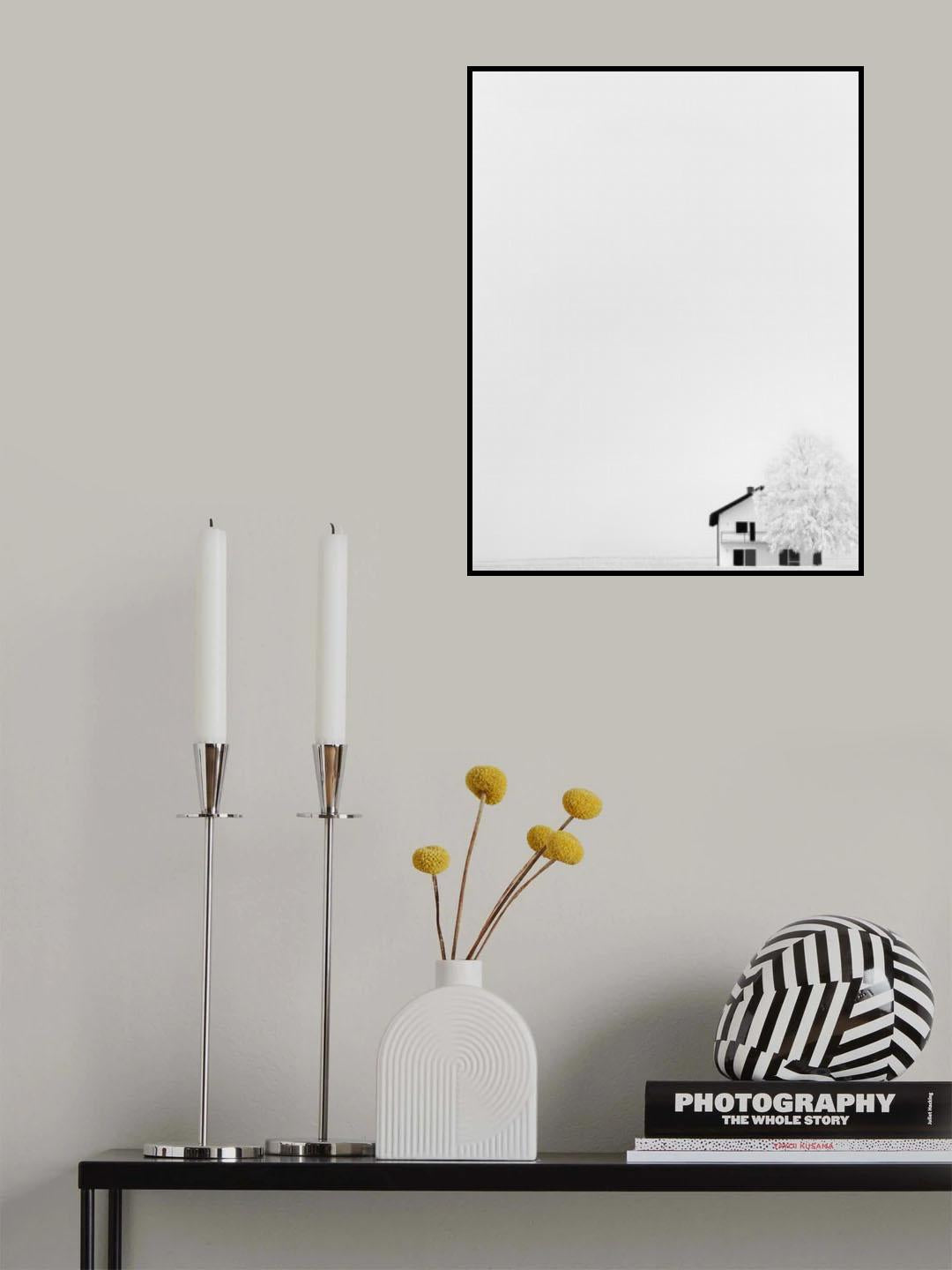 Shy Poster och Canvastavla