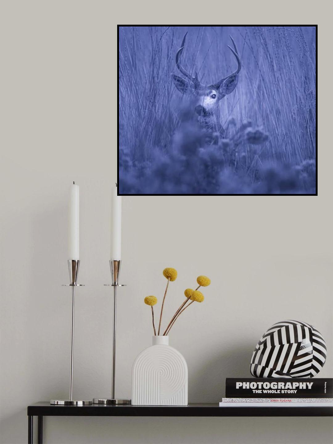 winter night Poster och Canvastavla