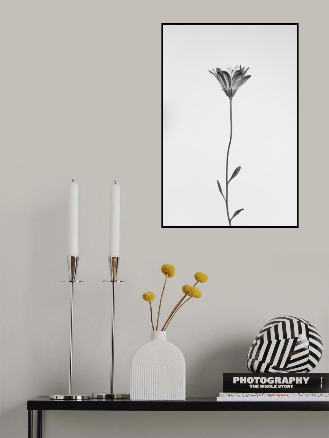 Daisy Poster och Canvastavla