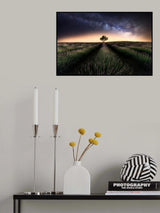 Lavender way Poster och Canvastavla