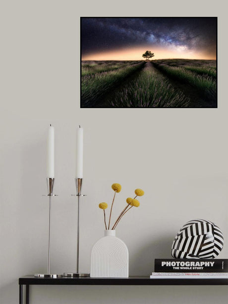 Lavender way Poster och Canvastavla