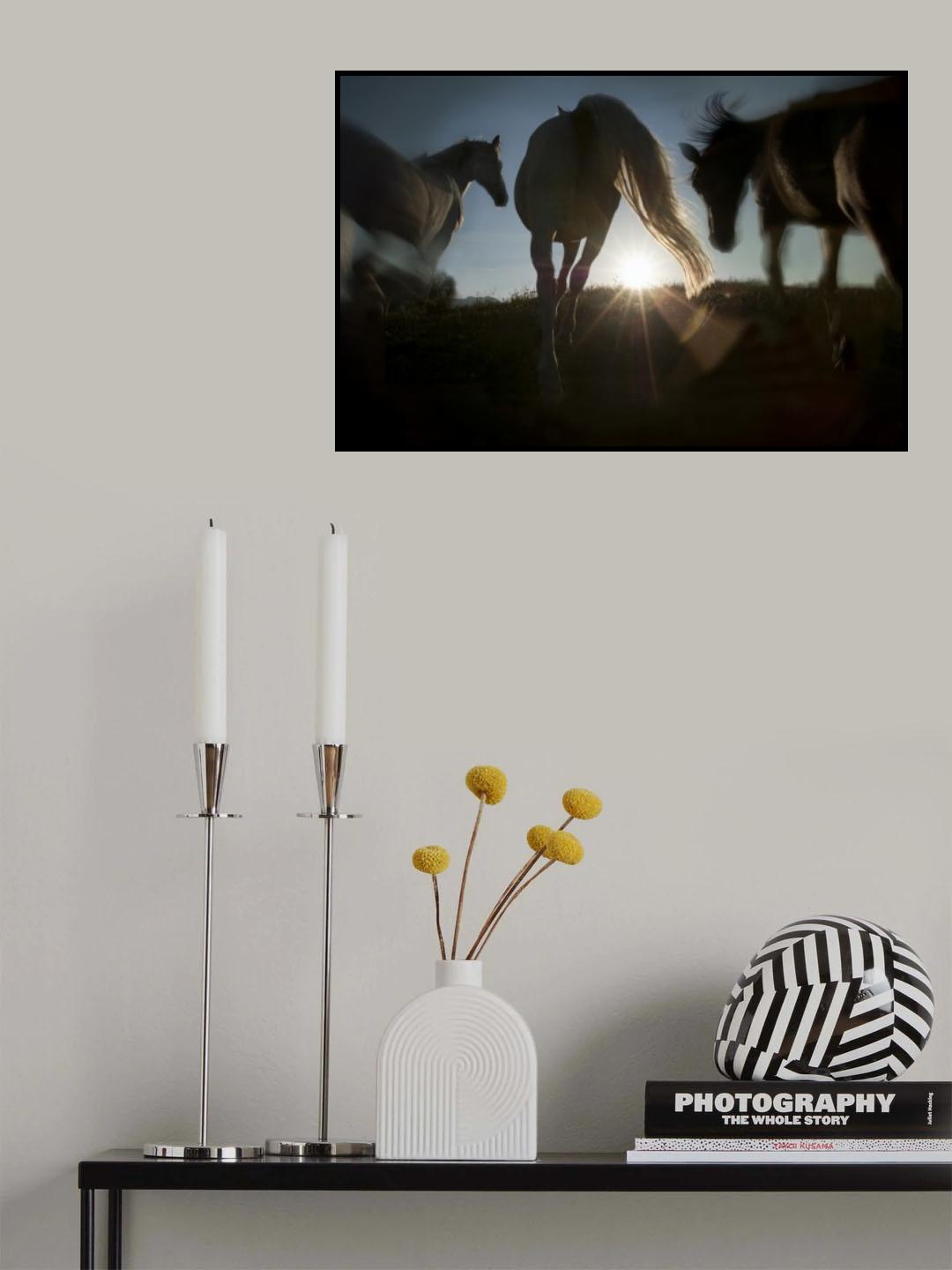 Poster och Canvastavla