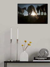 Poster och Canvastavla