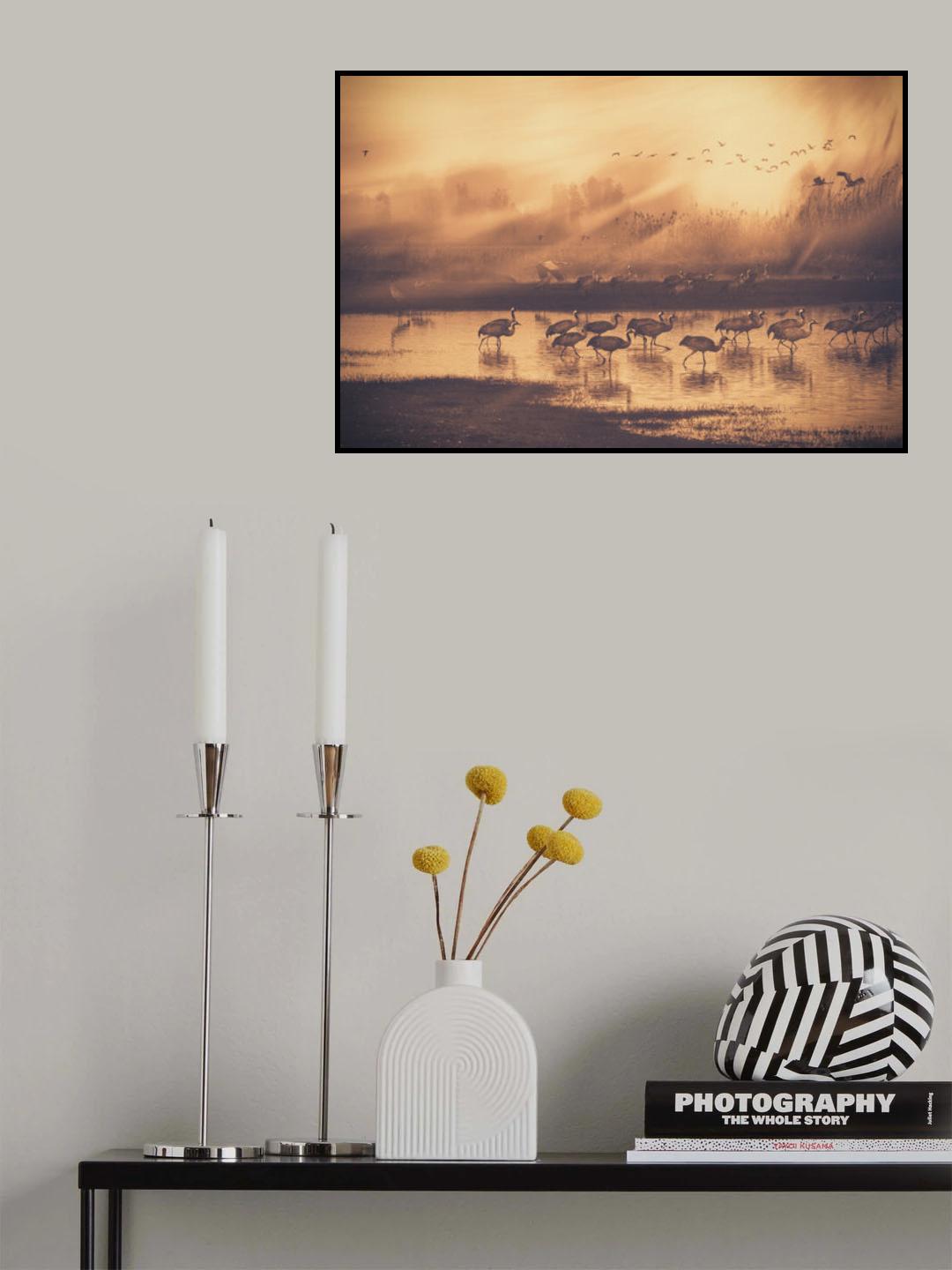 Poster och Canvastavla