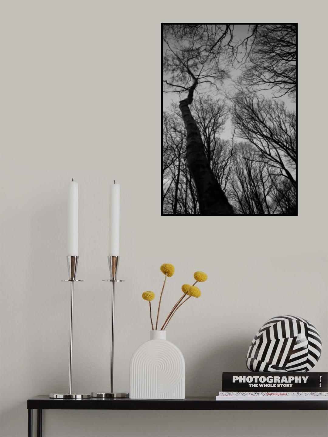 Everglades Poster och Canvastavla