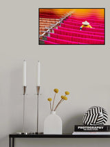 Drying coloured cotton fabric Poster och Canvastavla