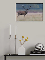 King's portrait Poster och Canvastavla