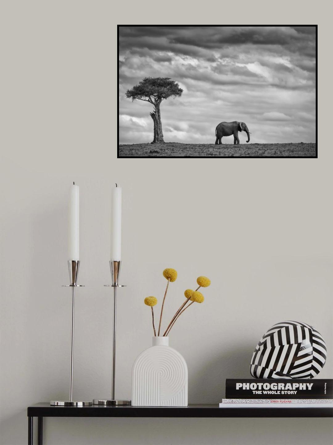 Elephant Landscape Poster och Canvastavla