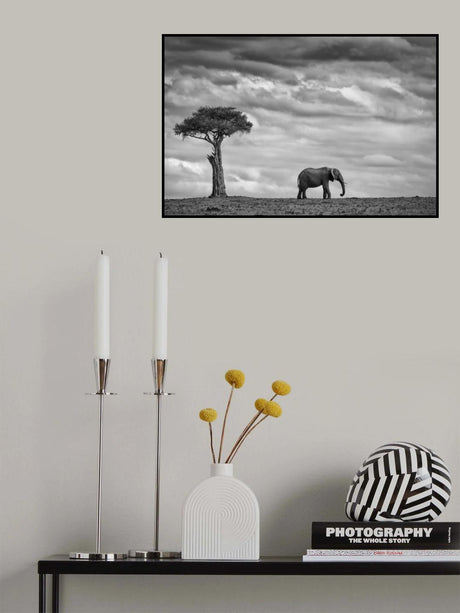 Elephant Landscape Poster och Canvastavla