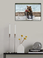 Fishing and running Poster och Canvastavla