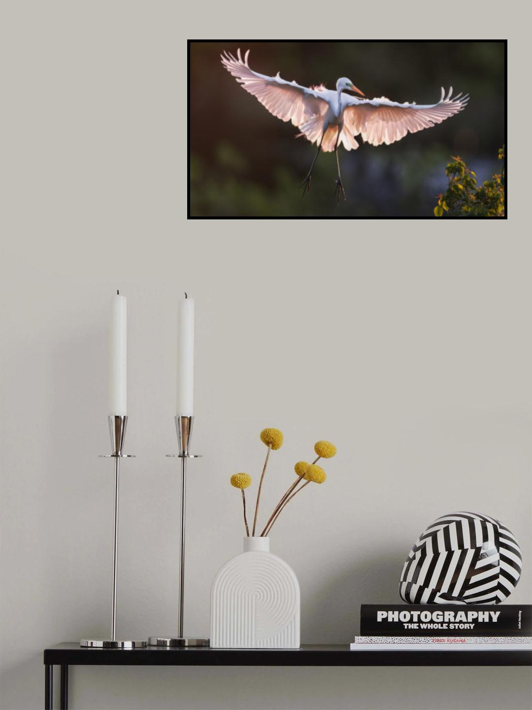 Pink Wings Poster och Canvastavla