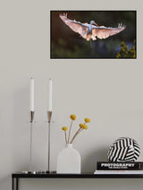 Pink Wings Poster och Canvastavla