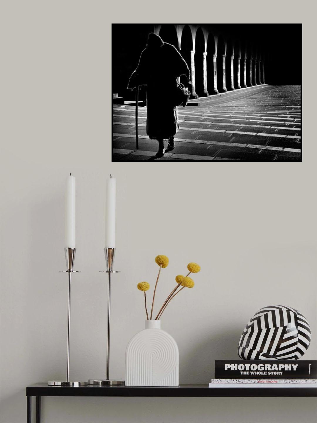 Profiles of light Poster och Canvastavla