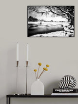 Snow in the park Poster och Canvastavla