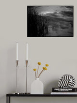 Poster och Canvastavla