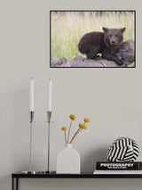 Mischief in the Making Poster och Canvastavla