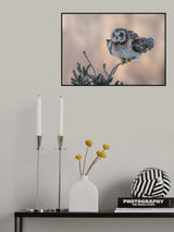 Short-eared Owl Poster och Canvastavla