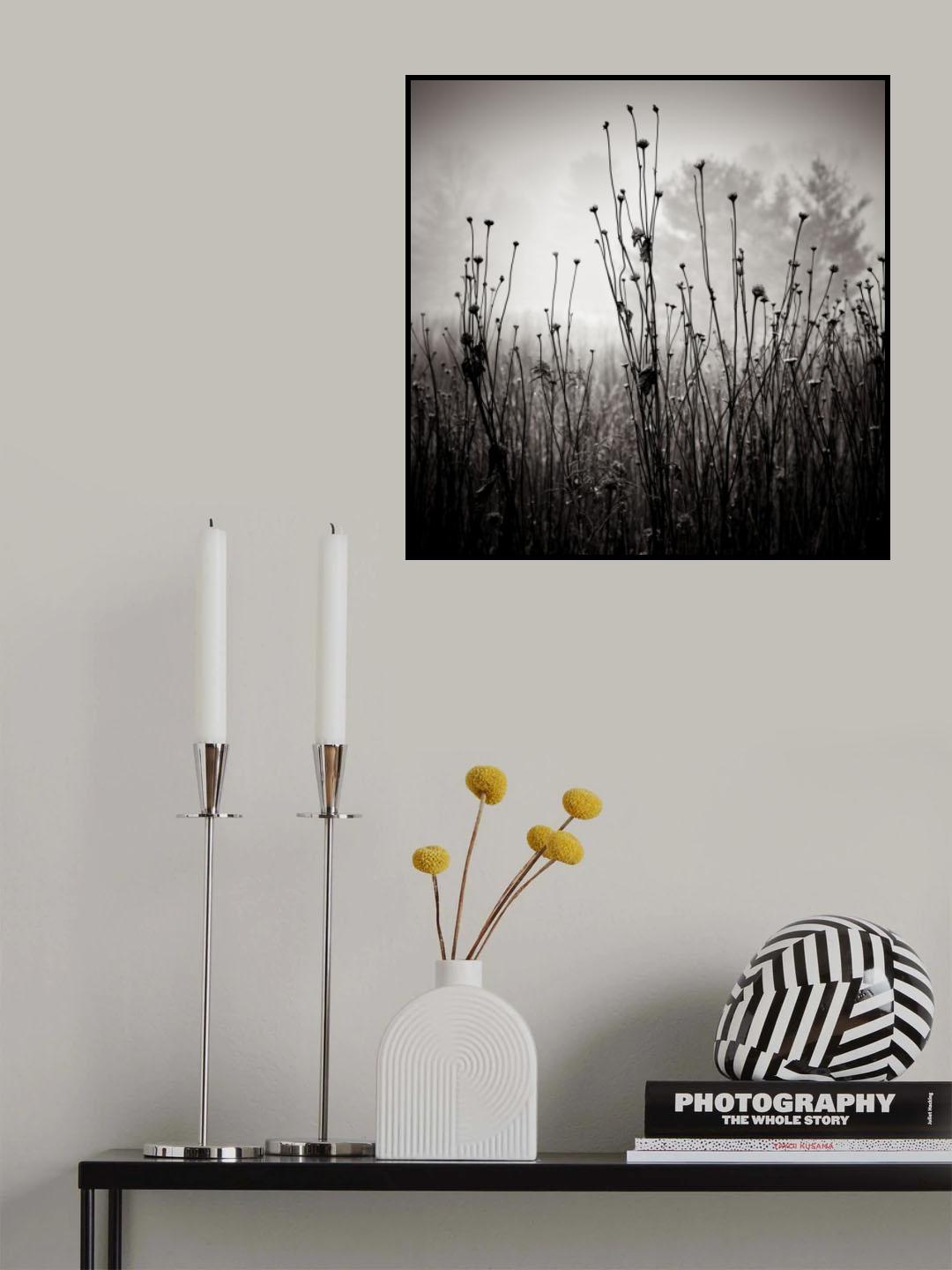 Meadow Plants 1 Poster och Canvastavla