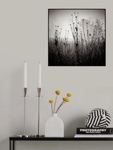 Meadow Plants 1 Poster och Canvastavla