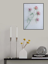 Roses among the ice. Poster och Canvastavla