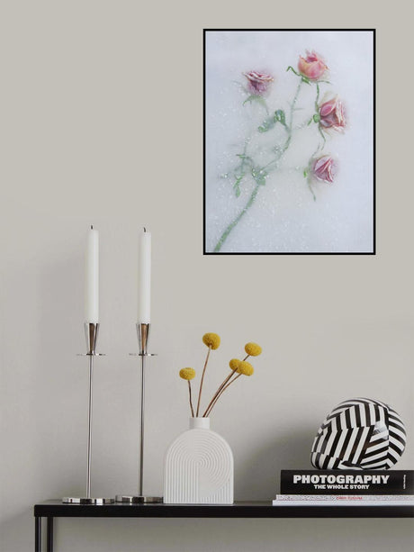 Roses among the ice. Poster och Canvastavla