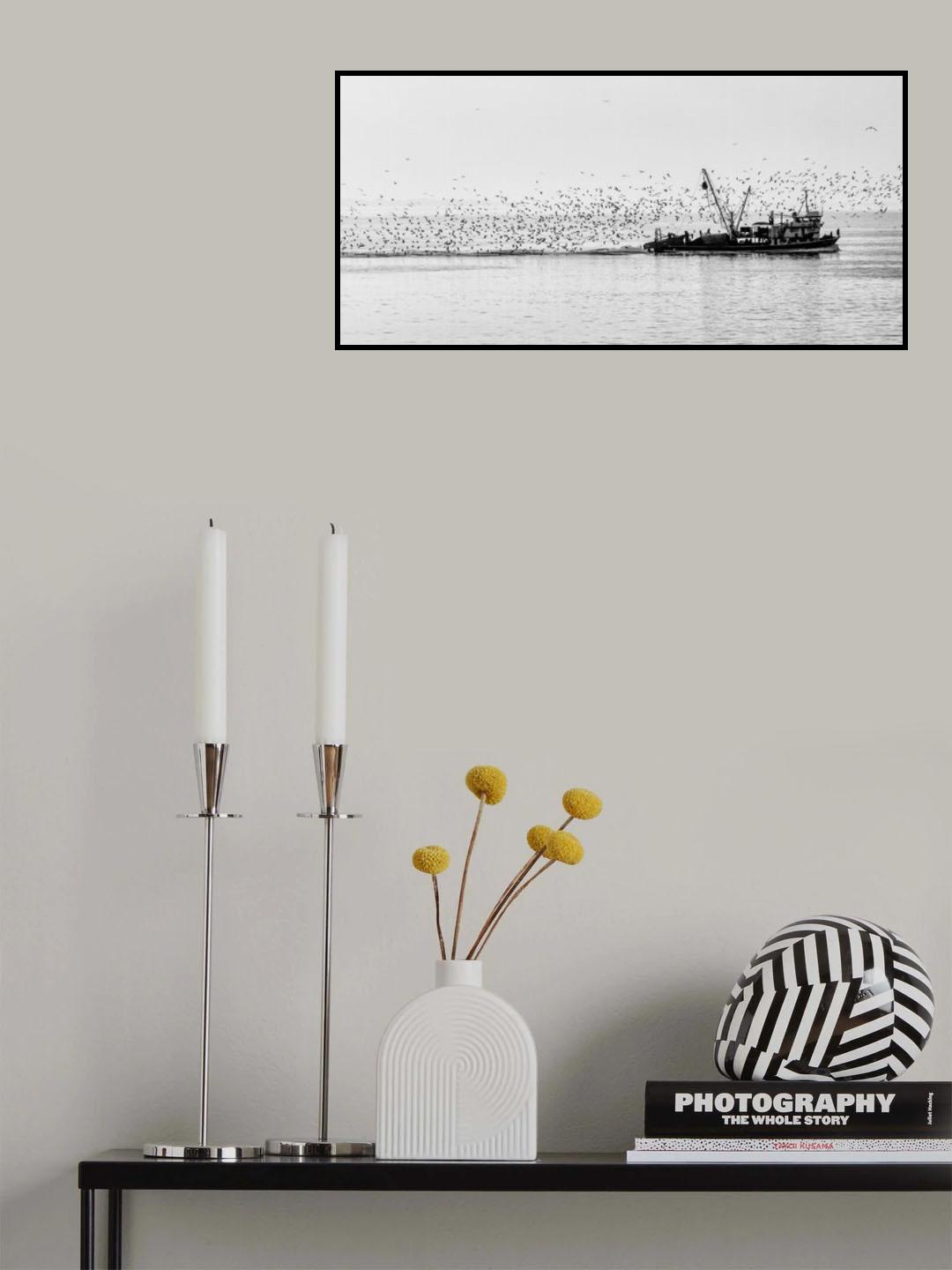 Seagulls Poster och Canvastavla