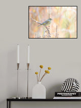 green finch Poster och Canvastavla